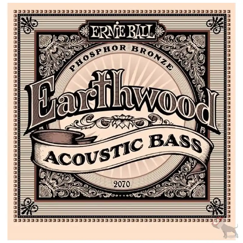 Fast Shipping Ernie Ball 2070 Earthwood Phosphor Bronze Acoustic Bass Strings (45-95)