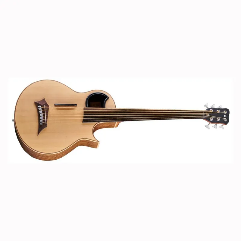 Warwick Alien 6-String Fretless Acoustic-Electric Bass, Natural Transparent Satin Clearance