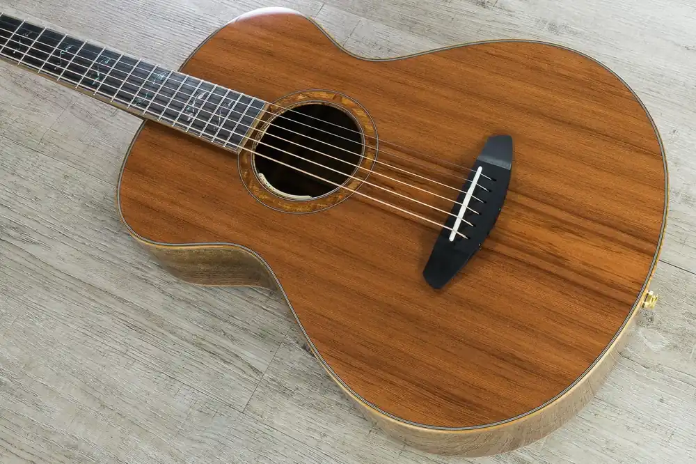 New Arrival 2019 NOS Breedlove 2019 Masterclass Custom Concertina E Acoustic-Electric Guitar, Redwood - Figured Walnut, LR Baggs Anthem Tru-Mic