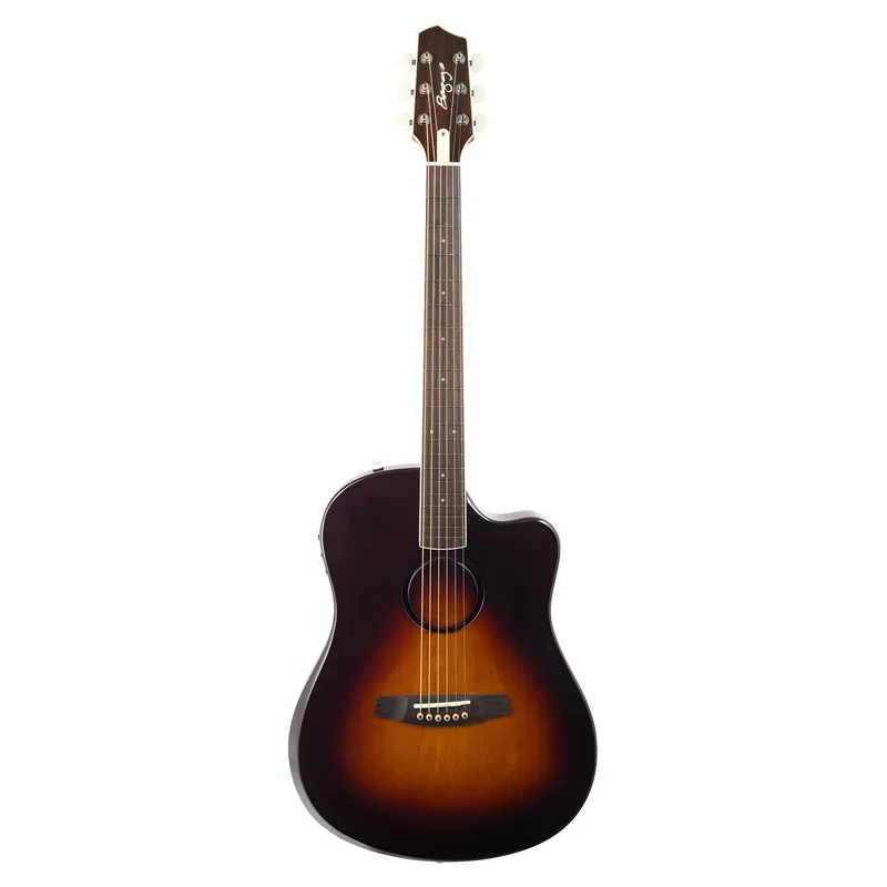 LR Baggs AEG-1 Acoustic-Electric Guitar, Sitka Spruce Top, HiFi Pickups, Sunburst Flash Sale