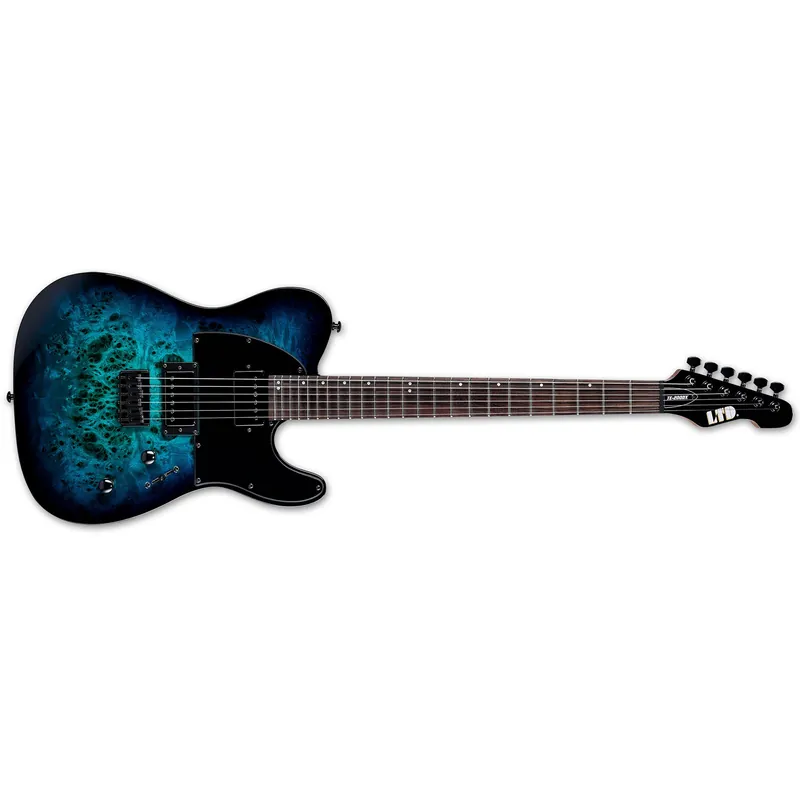 ESP LTD TE-200DX Guitar, Rosewood Fretboard, Roasted Maple Neck, Blue Burst Luxury