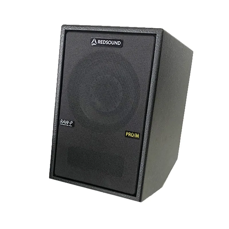 Special Discount RedSound ELIS.8 PRO/M 360-Watt 8FR/FR Full-Range Active Mono Speaker Cabinet