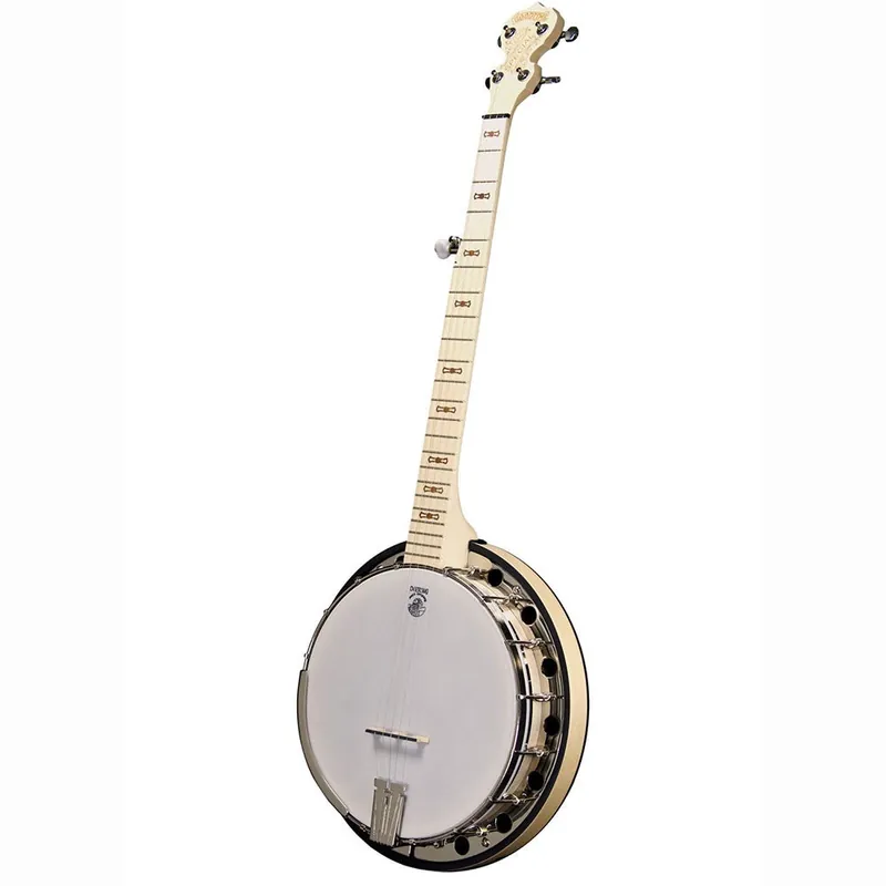 Same Day Shipping Deering Banjo Company Goodtime Special 5-String Banjo with Tonering and Resonator