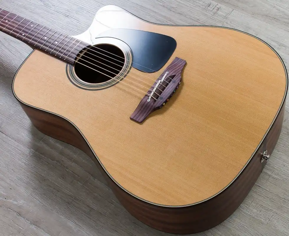 Buy Online Takamine P1DC Dreadnought Body Acoustic-Electric Guitar in Natural Satin Finish with Hardshell Case