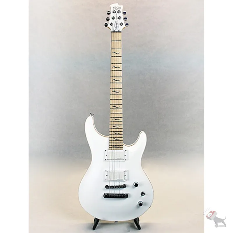 Must Have FGN EEL-DE Expert Series Elan Electric Guitar w/ Seymour Duncan Blackouts White Finish
