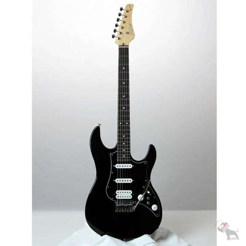 Buy Today FGN EOS-AL-R/BK Expert Series Odyssey Electric Guitar Black Finish