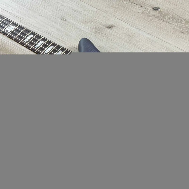 Spector Euro 4 LX Bolt-On Bass, Rosewood Fretboard, Nightshade Matte Same Day Shipping