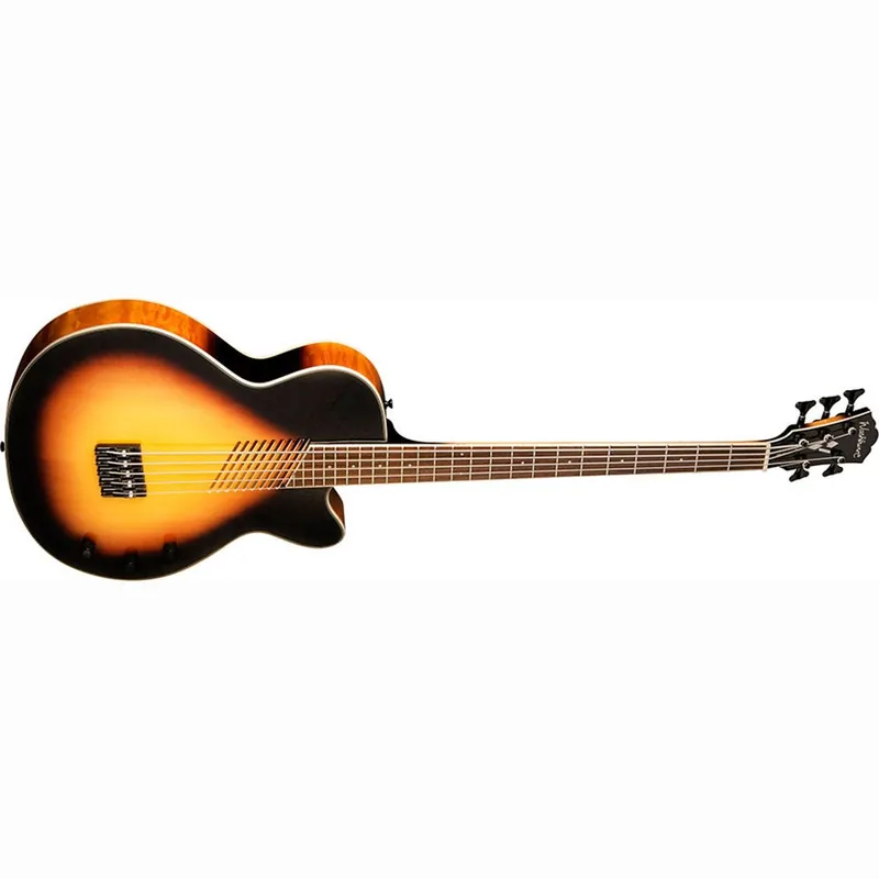 Free Delivery Washburn AB45VSK 5-String Acoustic-Electric Bass with Case - Vintage Sunburst