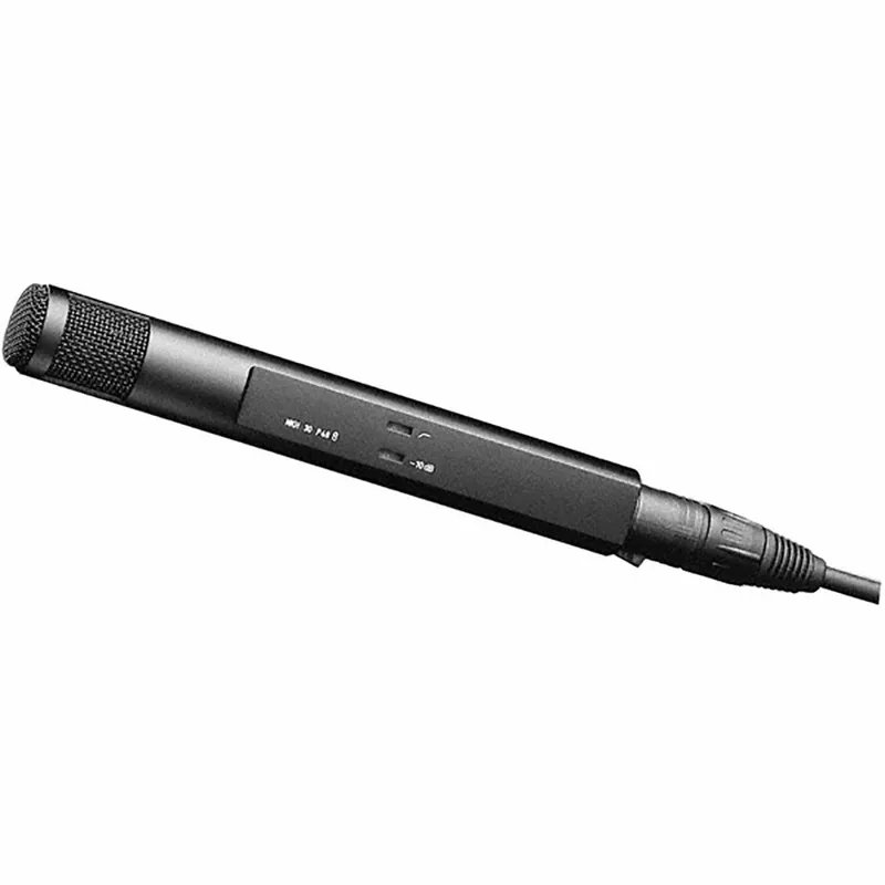 Sennheiser MKH 30-P48 MKH Condenser Microphone with Figure-8 Pickup Pattern Budget