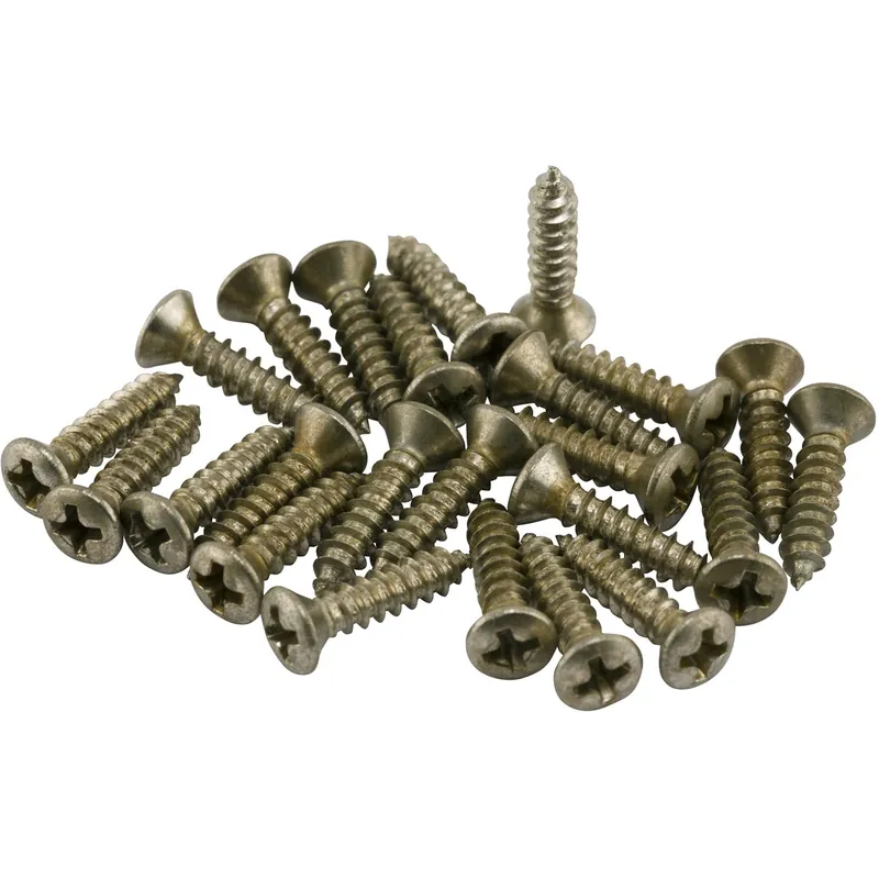 Fender Road Worn Pickguard/Control Plate Screws, Set of 24 Big Sale