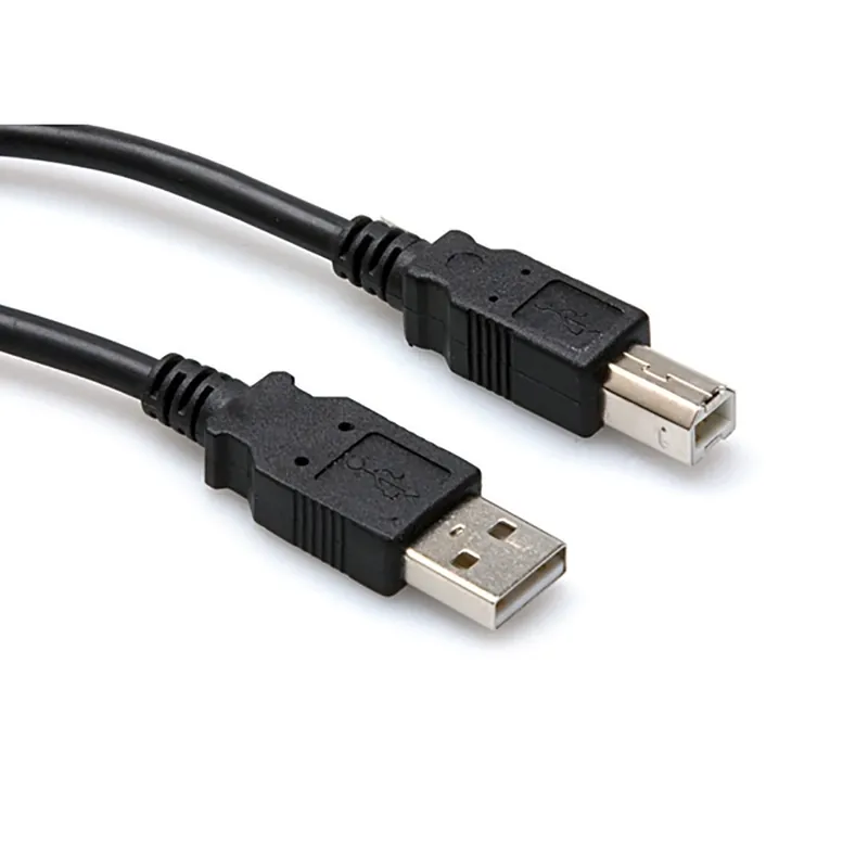 Hosa USB-210AB High Speed USB Cable, Type A to Type B, 10ft Best Price