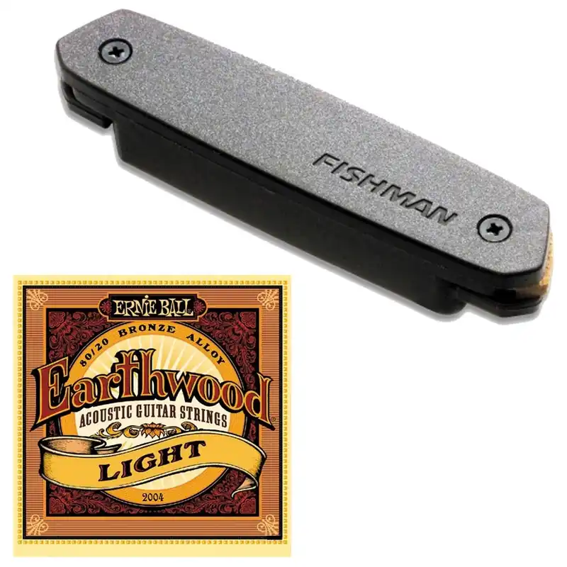 Fishman Neo-D Humbucker PRO-NEO-D02 Magnetic Soundhole Pickup with EB-2004 Light Bargain