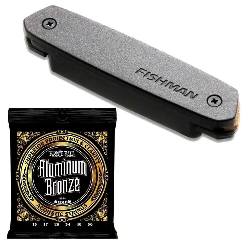 Factory Price Fishman Neo-D Humbucker PRO-NEO-D02 Magnetic Soundhole Pickup with EB 2564 Mediu