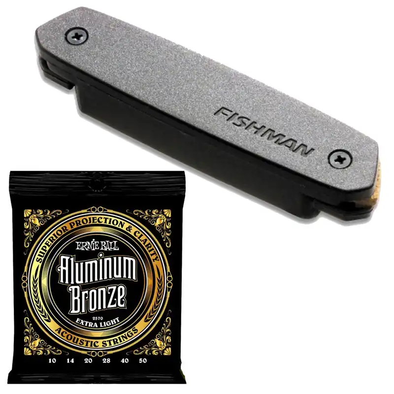Hot Deal Fishman Neo-D Humbucker PRO-NEO-D02 Magnetic Soundhole Pickup with EB 2570 Extra