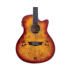 Fan Favorite Washburn Deep Forest Burl ACE Cutaway A/E Guitar - Amber Fade Gloss