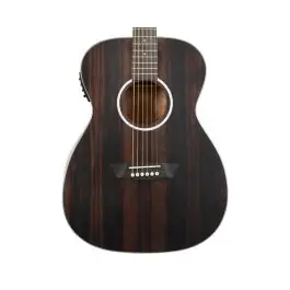 Washburn DFEFE-U Deep Forest Folk Acoustic/Electric Guitar - Striped Ebony Today Only
