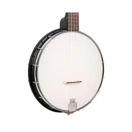 Gold Tone AC-1FL Fretless Acoustic Composite 5-String Openback Banjo New Arrival