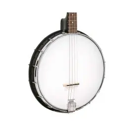 Best Seller Gold Tone AC-4 IT Acoustic Composite 4-String Openback Irish Tenor Banjo