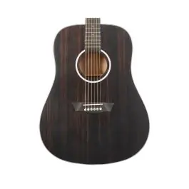Washburn DFED-U Deep Forest Dreadnought Acoustic Guitar - Striped Ebony Free Delivery