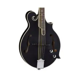 Luna Guitars Moonbird F Style Mandolin w/ Piezo Pickup - Black - Used Limited Edition
