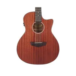 Today Only D'Angelico Premier Fulton LS 12-String A/E Guitar - Mahogany Satin