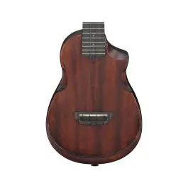 Fan Favorite Ibanez AUC14OVL Concert Sized Ukulele - Open Pore Violin Sunburst