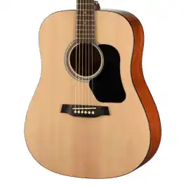 Same Day Shipping Walden D350 Standard Dreadnought Acoustic - Gloss Natural
