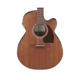 Ibanez PC54CEOPN A/E Grand Concert Guitar - Open Pore Natural Budget