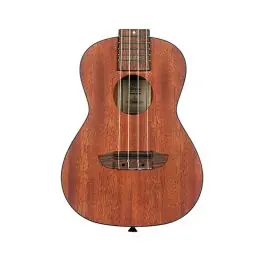 Top Rated Ortega Guitars RU4MM Bonfire Series Concert Ukulele Natural w/Laser Etch Design