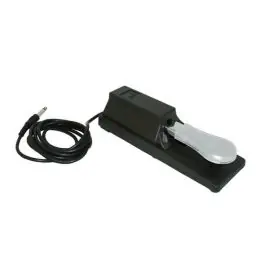 Seasonal Sale Nord NSP Sustain Pedal