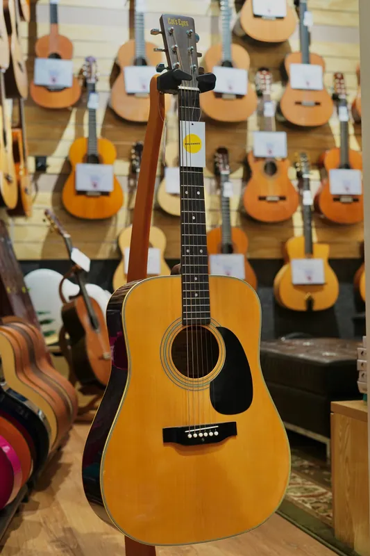 *PREOWNED* 1970's Cats Eyes CE-180W Acoustic Guitar - Replica Martin Professional Grade