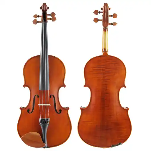 Schroeder 50J Viola Deal