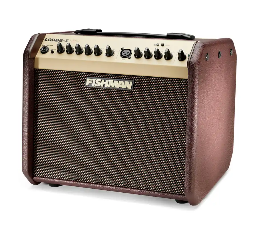 Fishman Loudbox Mini 60-Watt Acoustic Amplifier Premium