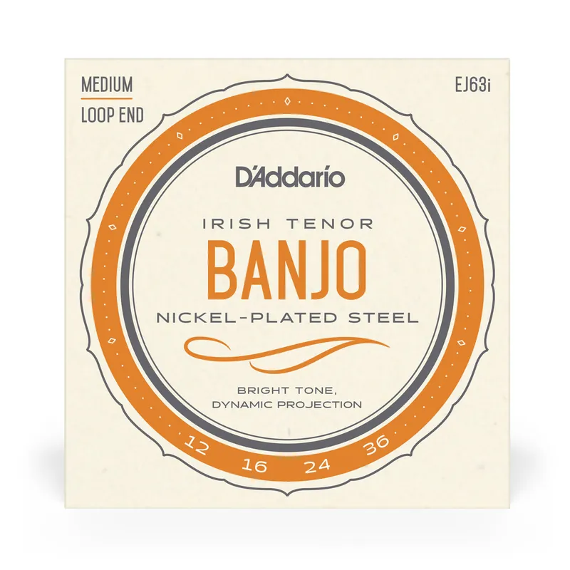 Top Pick D'Addario EJ63i Irish Tenor Banjo Strings, Nickel Wound, Loop End 12-36