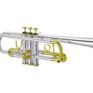XO Professional Brass1604 Bb Trumpet with Reverse Leadpipe, Yellow Brass Bell and Standard Taper - Silver-Plated with Gold Trim Warranty Included