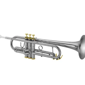 XO Professional Brass1602 Lightweight Bb Trumpet - Silver-Plated with Gold Trim Cheap