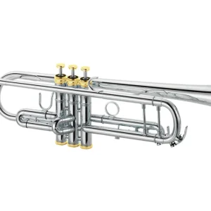 XO Professional Brass1602 Bb Trumpet with Standard Lead-Pipe, Rose Brass Bell and Standard Taper - Silver-Plated with Gold Trim Best Seller