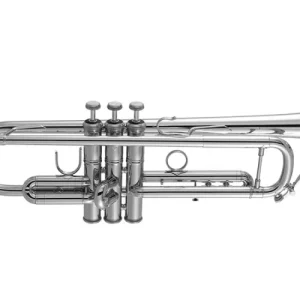 Bach170S43GYR Professional Trumpet with .459'' Bore - Silver Plated Best Price