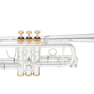 Hassle-Free Returns Eastman WindsC Trumpet, .460'' Bore, Gold Brass Bell - Silver-Plated