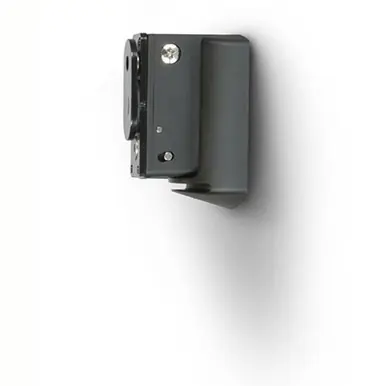 Bluesound Pulse Flex WM100 Wall Mount Holiday Sale
