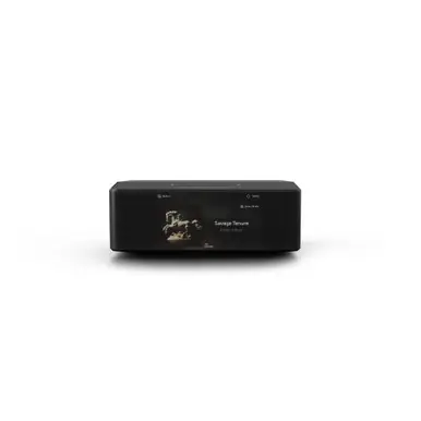 Bluesound Node Icon High-Res Music Streamer (N530) Top Pick