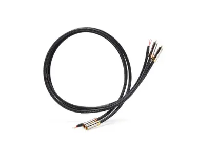 Today Only Shunyata Gamma Phono Interconnects (Pair)