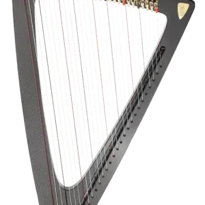 Salvi HarpsDelta C Electric Harp with Carbon Fiber Body Hassle-Free Returns