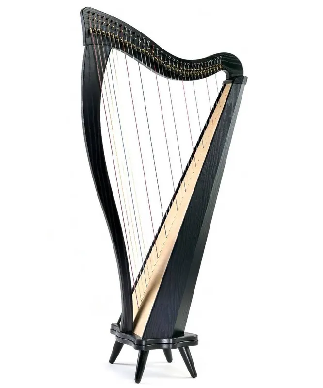 Dusty StringsRavenna 34-String Harp Outfit with Full Camac Levers - Black Certified