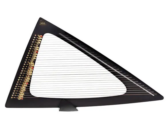 Salvi HarpsDelta Electric Harp Sale