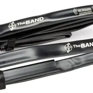 Headway Music AudioThe Band2 Violin Pickup Final Sale