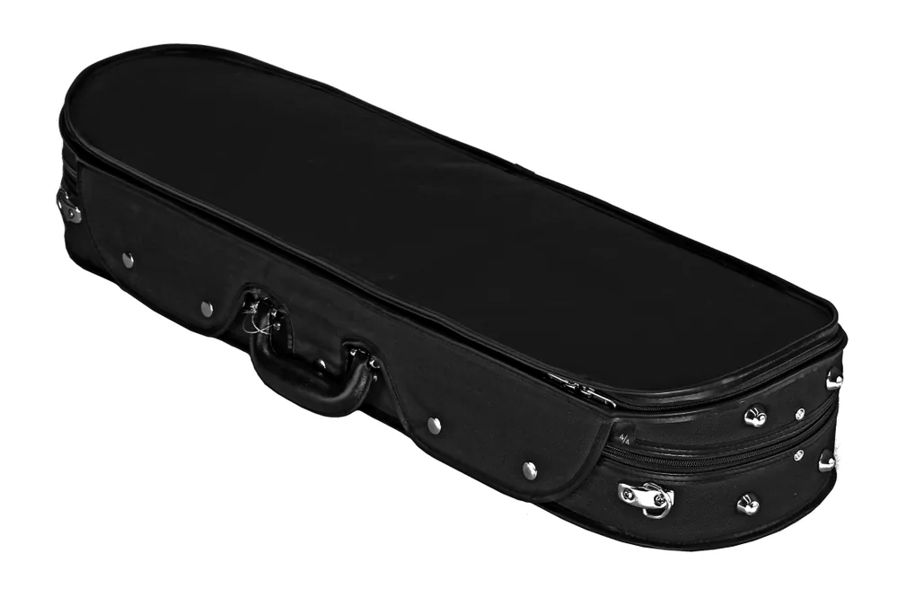 Buy Online Young HeungDeluxe Oblong Violin Case
