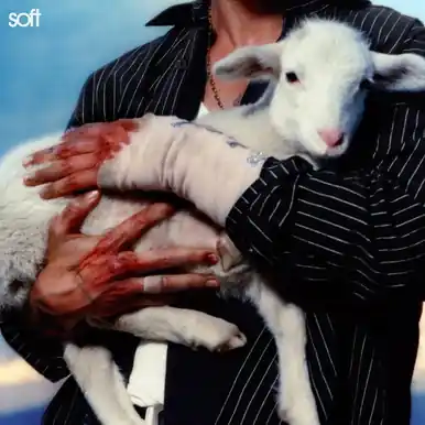 Lany Soft Limited Time