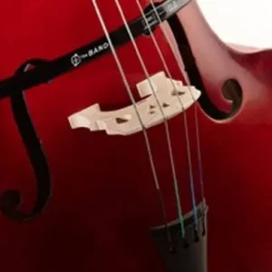 Warranty Included Headway Music AudioThe Band String Bass Pickup