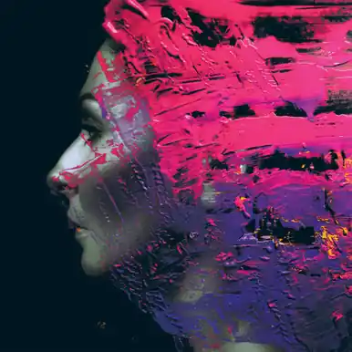 Original Steven Wilson Hand Cannot Erase: 10th Anniversary: Half-Speed Master